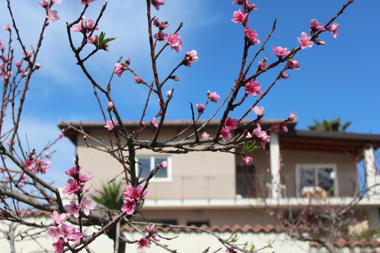 Residenza Anna Calabria Bed and Breakfast Briatico Buitenkant foto